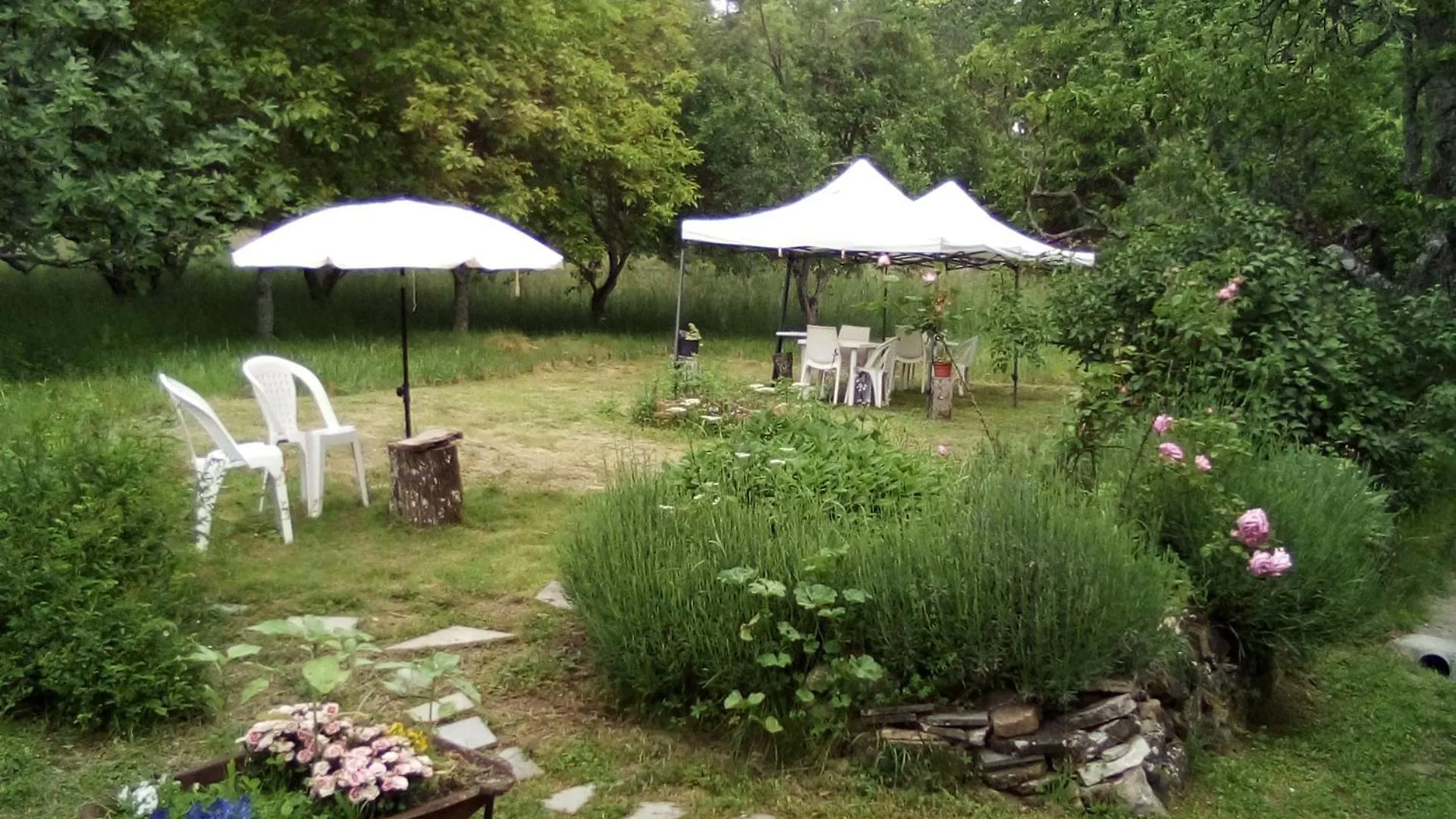 Casa Del Gigi Bnb Albareto  0*, Albareto (Parma)